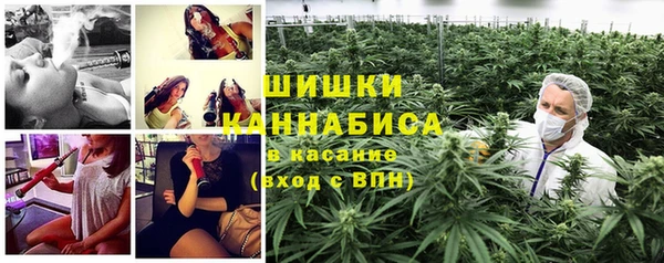 шишки Грязовец