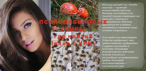 прущие грибы Покровск