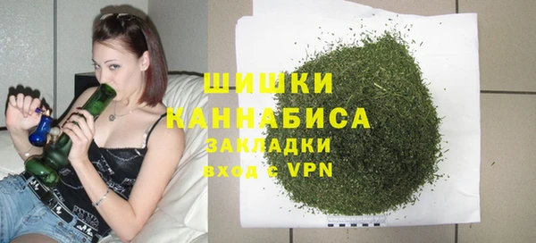 прущие грибы Покровск