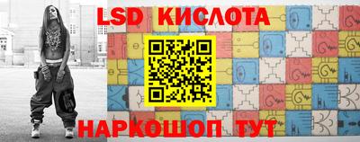прущие грибы Кингисепп