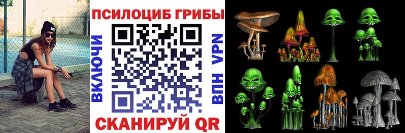 купить наркоту  маркетплейс наркотические препараты  Галлюциногенные грибы мицелий  Шуя 