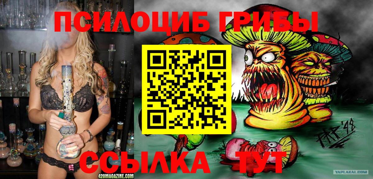 Псилоцибиновые грибы ЛСД Шуя
