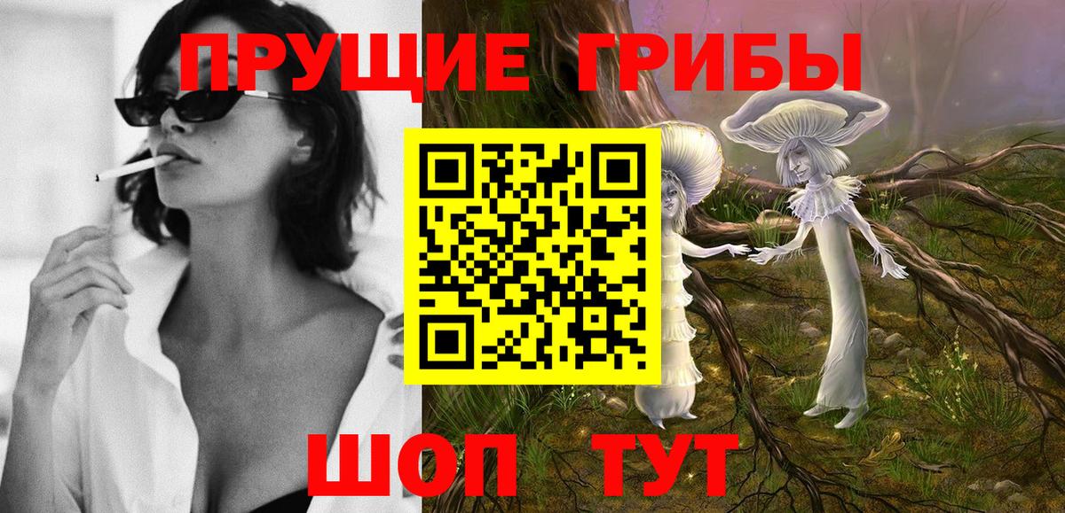 Псилоцибиновые грибы прущие грибы  Псилоцибиновые грибы мухоморы  Шуя 