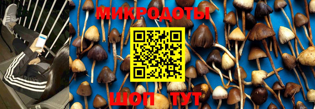 Шуя  Псилоцибиновые грибы Magic Shrooms  Вход с VPN 