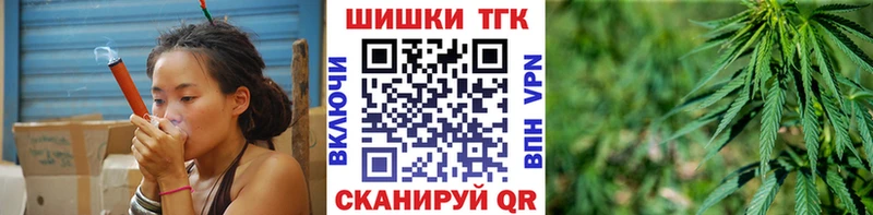 Конопля гибрид  Шуя 